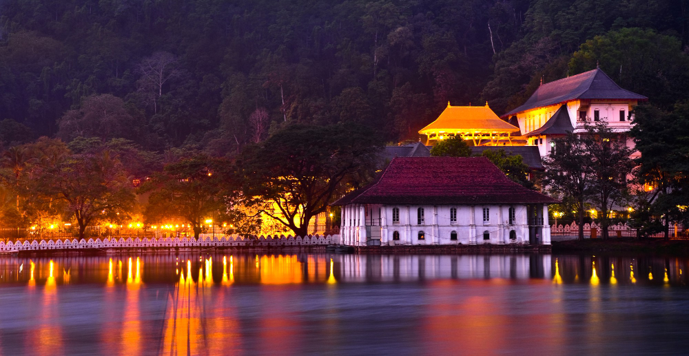 A stunning nighttime view of the Temple of the Tooth Relic and the Kandy Lake, a key cultural and religious site that is a must-see for tourists traveling with Tour Operators in Sri Lanka. This iconic landmark is a frequent stop on cultural tours organized by a premier Tour Company in Sri Lanka.