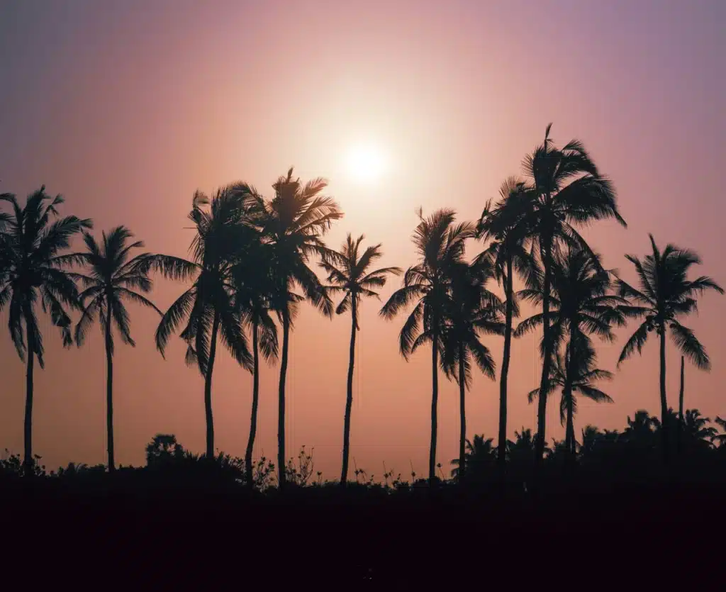 Ceylon Roots | Tour Operator in Sri Lanka | Travel to Sri Lanka - Destination