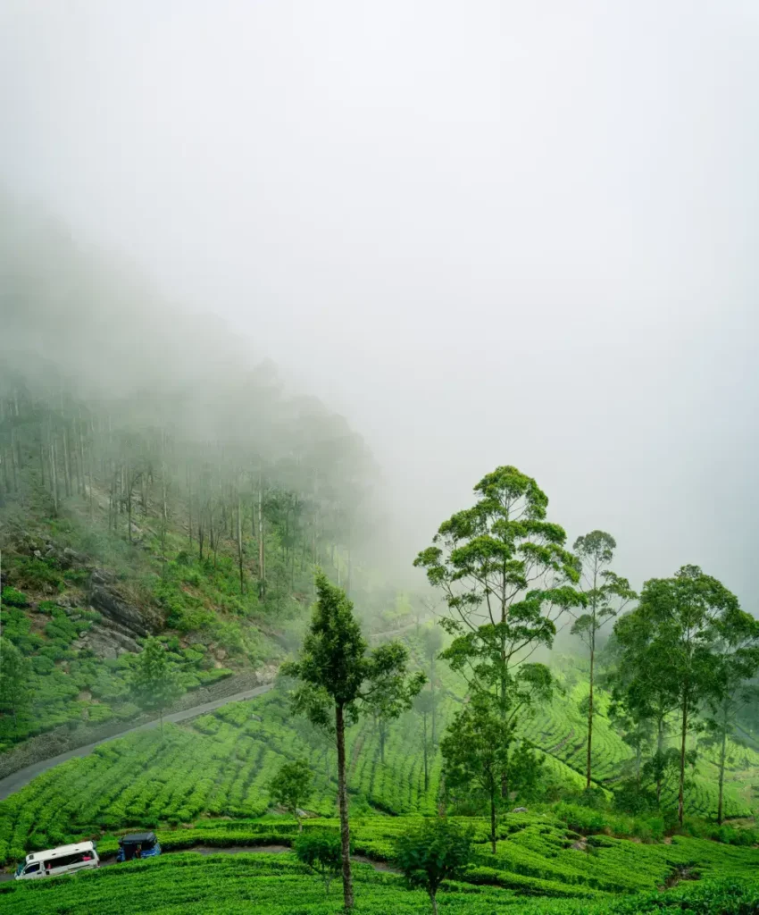 A scenic view of a railway line winding through misty green tea plantations and mountains in Haputale, Sri Lanka. This stunning destination is a key location for Ceylon Roots, a leading Tour Company in Sri Lanka, offering unforgettable tours for visitors to experience the natural beauty of the country.