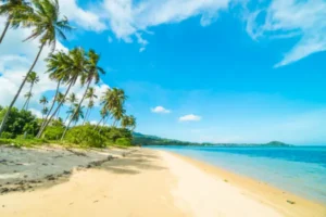 Ceylon Roots | Tour Operator in Sri Lanka | Travel to Sri Lanka - Sri Lanka