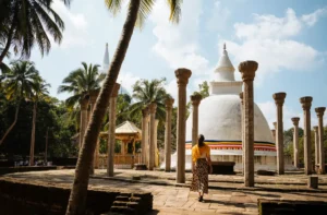 Ceylon Roots | Tour Operator in Sri Lanka | Travel to Sri Lanka - Sri Lanka