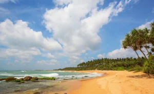 Ceylon Roots | Tour Operator in Sri Lanka | Travel to Sri Lanka - Sri Lanka