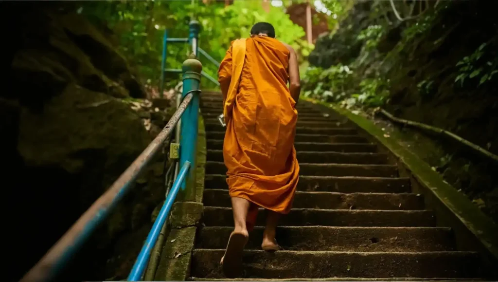 Ceylon Roots | Tour Operator in Sri Lanka | Travel to Sri Lanka - Experience
