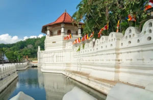 Ceylon Roots | Tour Operator in Sri Lanka | Travel to Sri Lanka - Sri Lanka