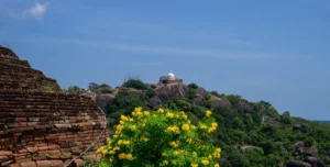 Ceylon Roots | Tour Operator in Sri Lanka | Travel to Sri Lanka - Sri Lanka