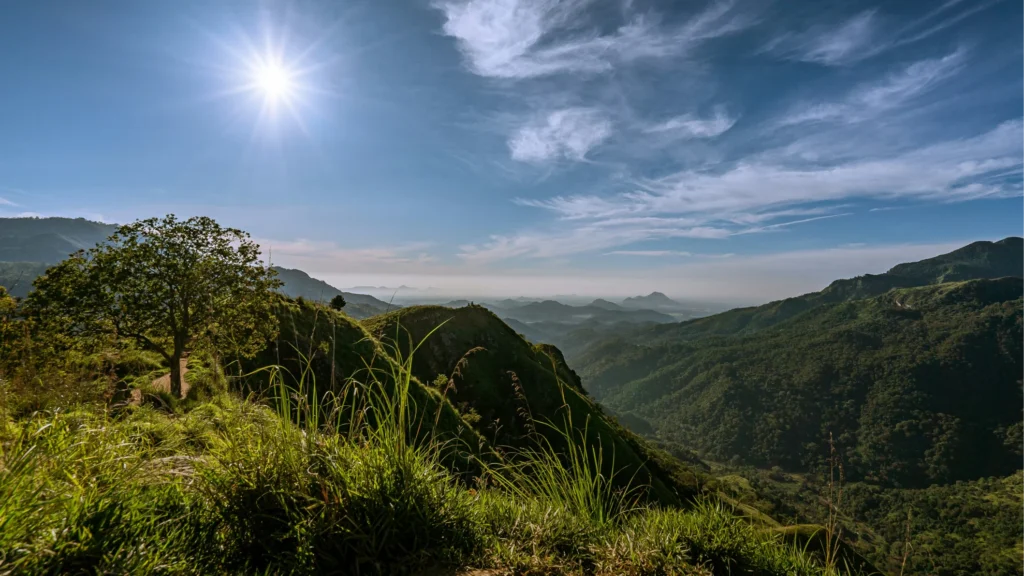 Ceylon Roots | Tour Operator in Sri Lanka | Travel to Sri Lanka - Experience