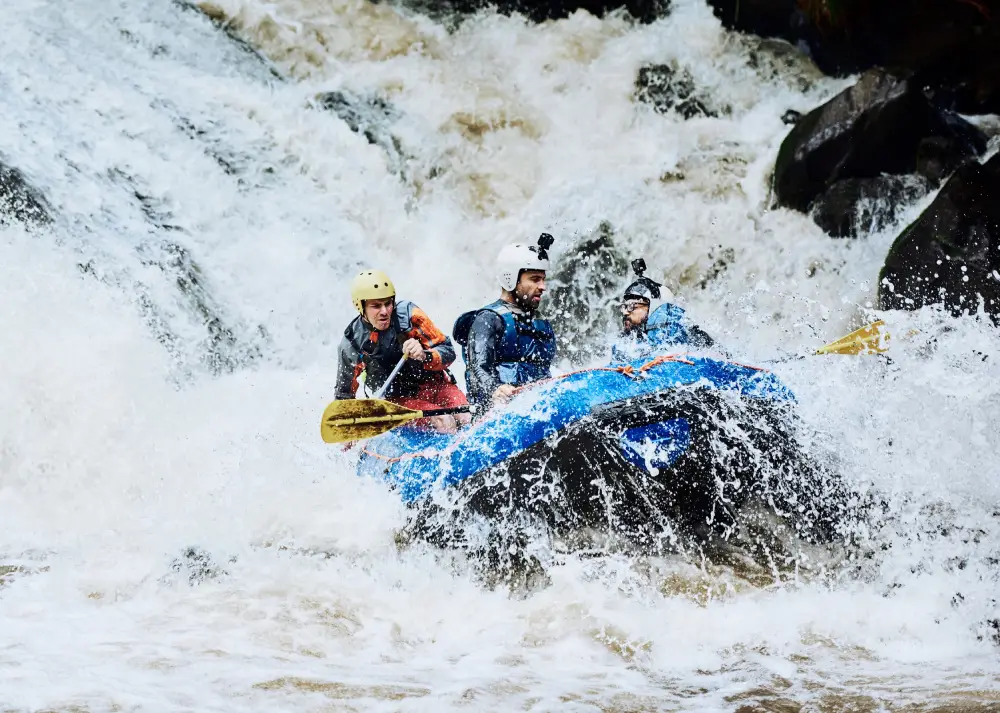 A group white-water rafting in Kithulgala, a popular adventure destination for travelers with Ceylon Roots, one of the leading Tour Operators in Sri Lanka and a premier Tour Company in Sri Lanka.