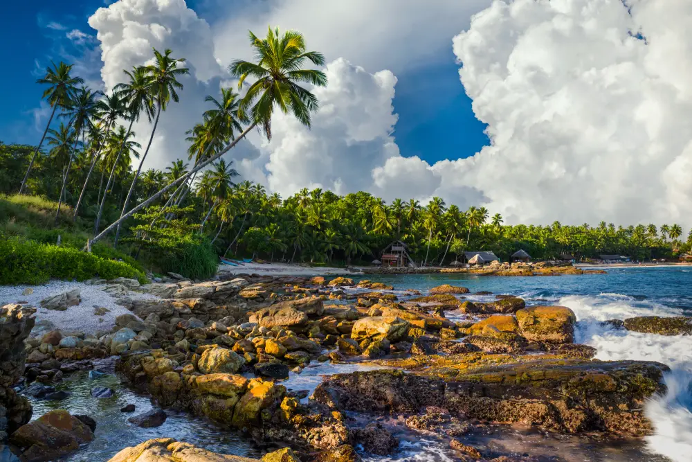 A picturesque coastline with a rocky shore in the foreground leading to a sandy beach lined with palm trees and a turquoise ocean under a dramatic sky, representing the stunning and diverse coastal destinations explored with expert Tour Operators in Sri Lanka and a top-rated Tour Company in Sri Lanka.