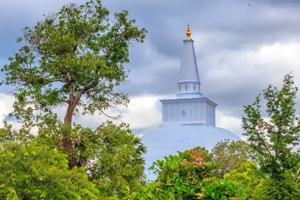 Ceylon Roots | Tour Operator in Sri Lanka | Travel to Sri Lanka - Blogs