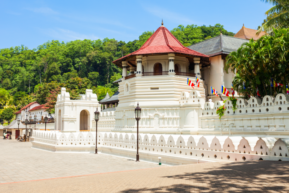 The white walls and red roof of the Temple of the Sacred Tooth Relic, a significant Buddhist temple in Kandy, are seen under a clear blue sky. Explore this cultural and religious landmark with Ceylon Roots, a leading Tour Company in Sri Lanka and experienced Tour Operators in Sri Lanka, offering insightful tours to Kandy.