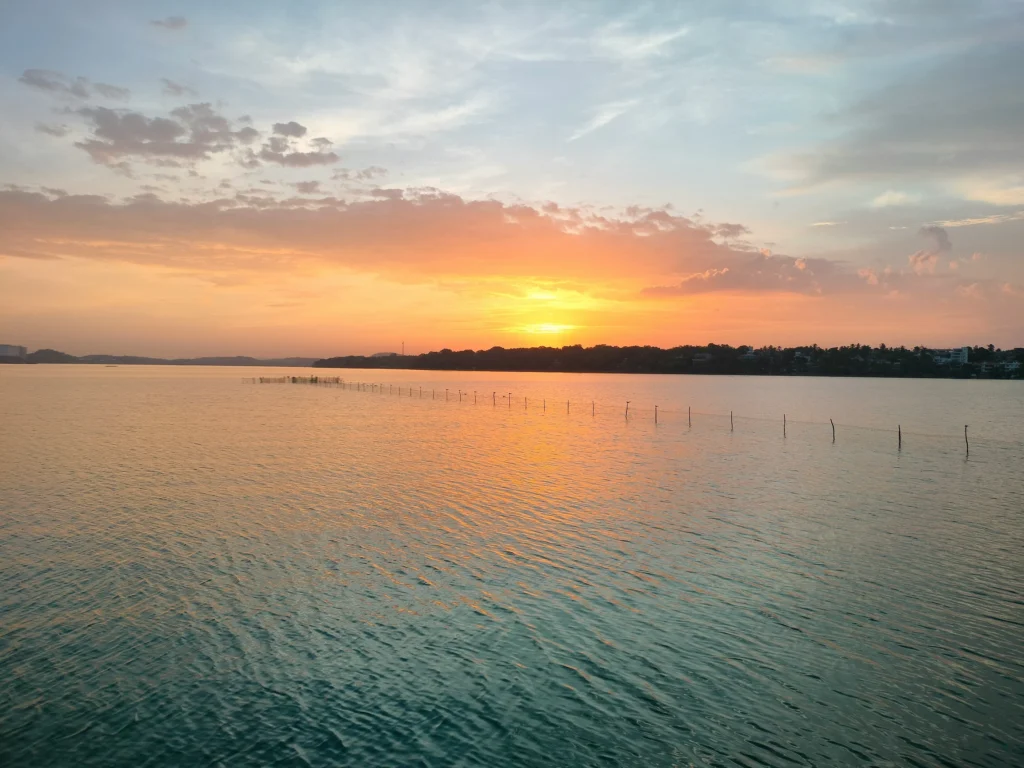 A tranquil view of a calm lagoon reflecting the vibrant colors of the sunset, with hues of orange, yellow, and pink in the sky above Colombo. Experiencing the scenic beauty of Colombo's waterways is often part of city tours offered by local Tour Operators in Sri Lanka and a trusted Tour Company in Sri Lanka.