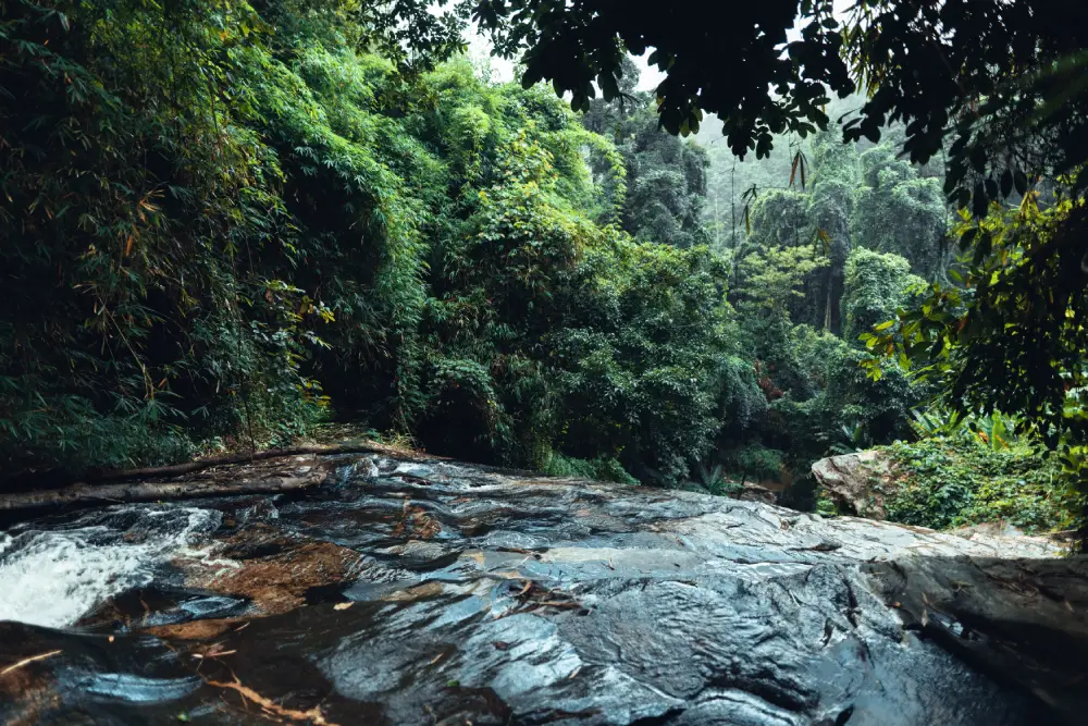 A beautiful waterfall cascades over rocks within the lush, green Sinharaja Forest Reserve, an adventure destination offered by expert Tour Operators in Sri Lanka and a leading Tour Company in Sri Lanka.