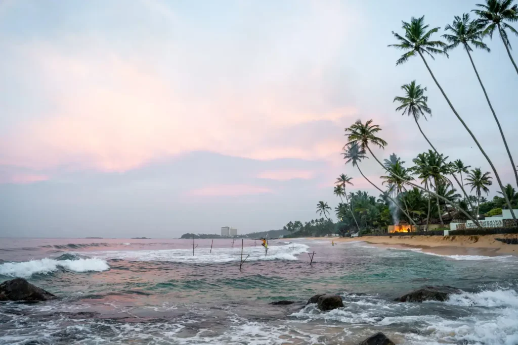 Ceylon Roots | Tour Operator in Sri Lanka | Travel to Sri Lanka - Blogs