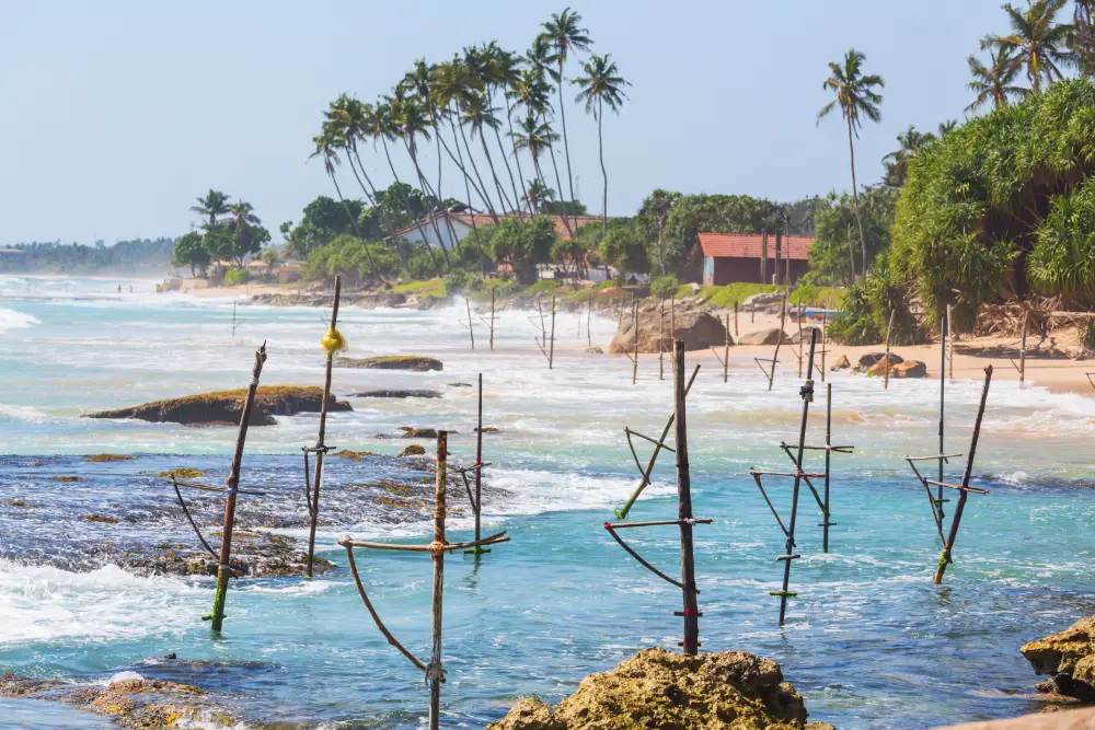 A picturesque coastal scene featuring traditional stilt fishing setups in the shallow turquoise waters, with a sandy beach, palm trees, and coastal buildings in the background. Experiencing or witnessing this unique fishing method is often included in coastal tours offered by various Tour Operators in Sri Lanka and a reputable Tour Company in Sri Lanka.