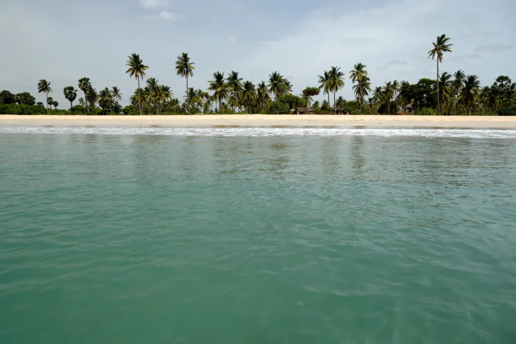Ceylon Roots | Tour Operator in Sri Lanka | Travel to Sri Lanka - Sri Lanka's Top-Rated East Coast Beaches