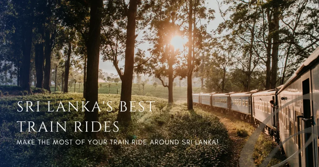 Ceylon Roots | Tour Operator in Sri Lanka | Travel to Sri Lanka - A vintage train travels through a lush green forest with sunlight filtering through the trees, a famous scenic journey. The image has a text overlay "SRI LANKA'S BEST TRAIN RIDES", promoting a popular tour experience offered by Ceylon Roots, a leading Tour Company in Sri Lanka.
