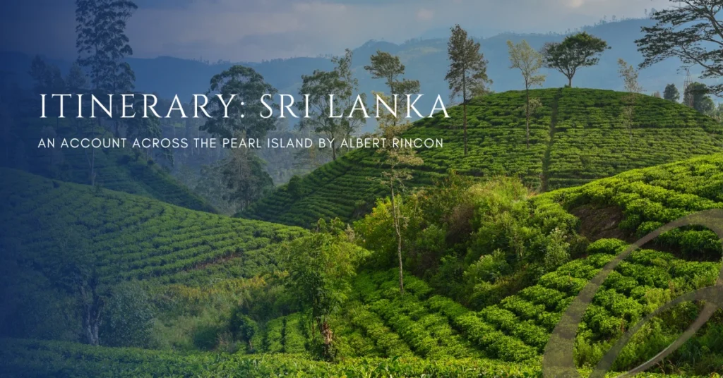 Ceylon Roots | Tour Operator in Sri Lanka | Travel to Sri Lanka - A beautiful landscape view of lush green tea plantations in the mountains of Sri Lanka. The image has a text overlay "ITINERARY: SRI LANKA", highlighting travel plans offered by Ceylon Roots, a leading Tour Company in Sri Lanka.
