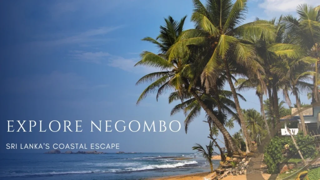 Ceylon Roots | Tour Operator in Sri Lanka | Travel to Sri Lanka - Negombo: Discover the Coastal Charms of Sri Lanka's Gateway