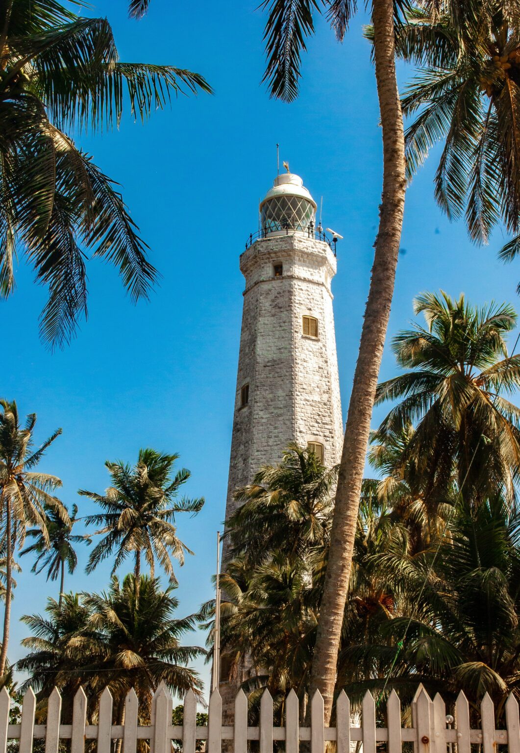 A tall tower or building with a lush greenery of coconut trees in the foreground
