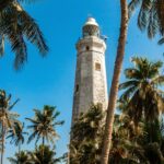 A tall tower or building with a lush greenery of coconut trees in the foreground