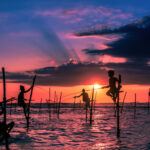 Image of traditional stilt fisherman in Sri Lanka, showcasing cultural heritage and fishing practices.