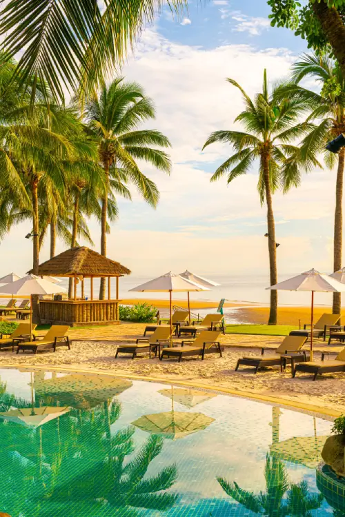 Ceylon Roots Ceylon Roots | Tour Operator in Sri Lanka | Travel to Sri Lanka
