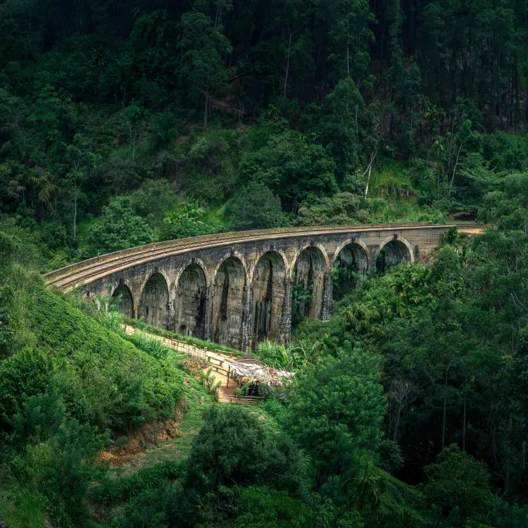 Ceylon Roots Ceylon Roots | Tour Operator in Sri Lanka | Travel to Sri Lanka